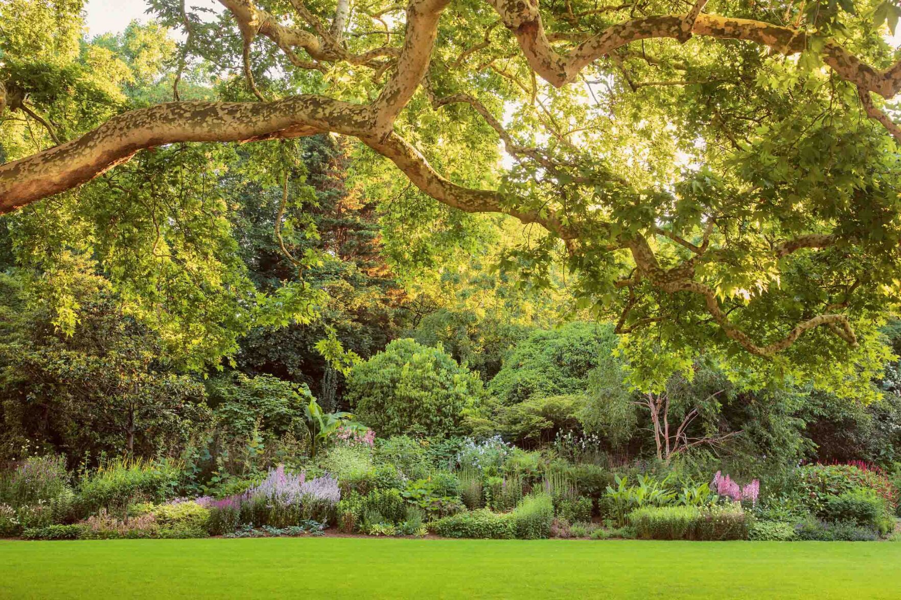 Queen opens Buckingham Palace gardens for picnics this summer